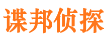 灵川市调查公司